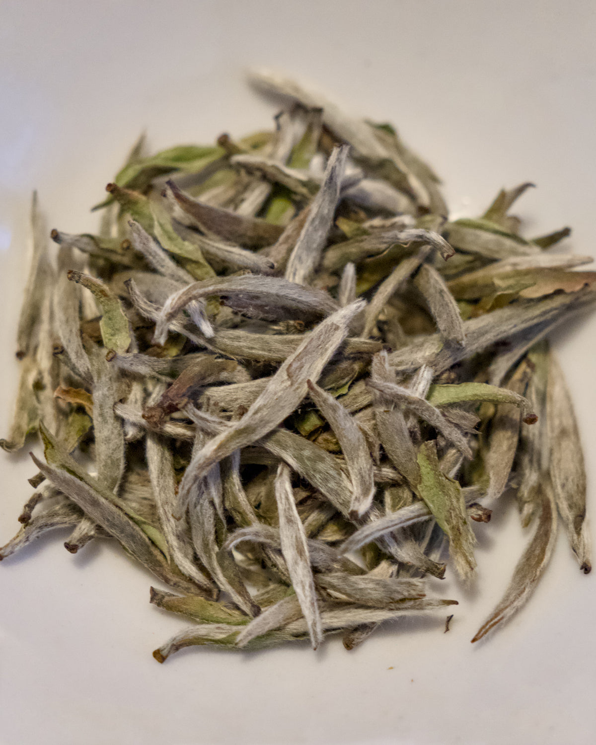 Bai Hao Yin Zhen – 2024 (50g)